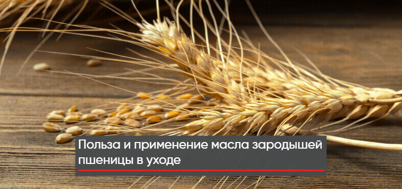 польза масла зародышей пшеницы